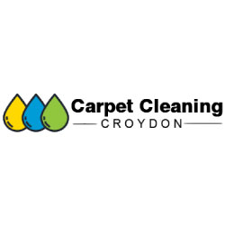 Professional Carpet Cleaning Croydon