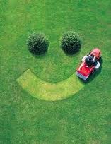 Above Expectations Lawn Maintenance