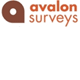 Avalon Surveys