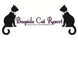 Bayside Cat Resort Pty Ltd