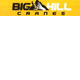Big Hill Cranes & Heavy Haulage
