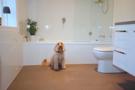Brisbane Bathroom Renovations Pty Ltd