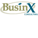 BusinX Consulting