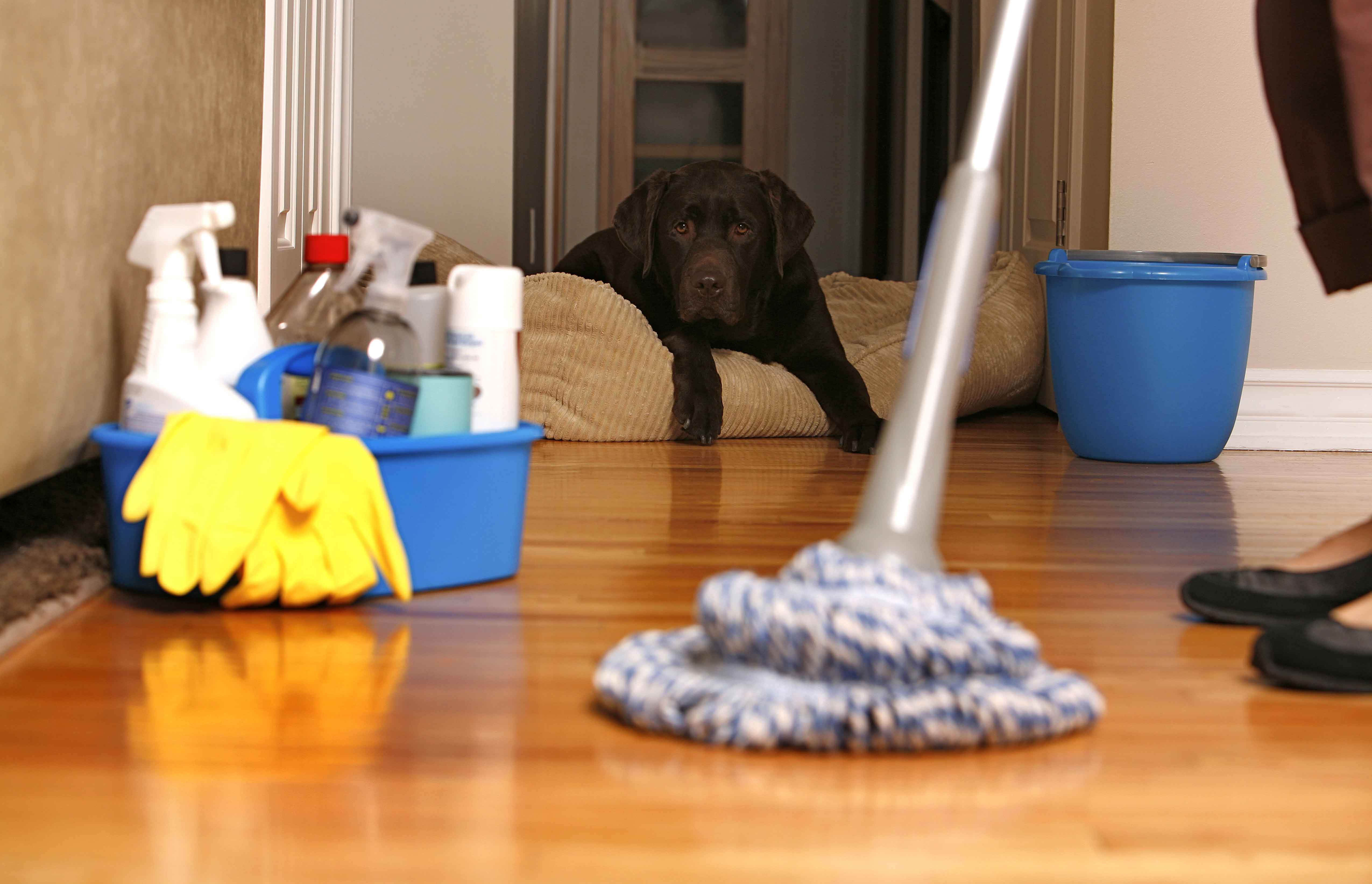 Can Do Cleaners - Northern Beaches Cleaning Services