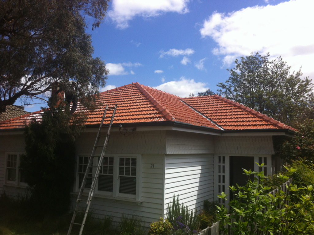 Changing Roofs