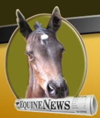 Equine News and Trade Services Directory