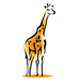 Giraffe Corporate Clothing