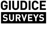 Giudice Surveys