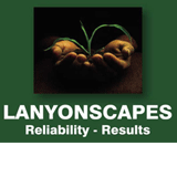 Lanyonscapes