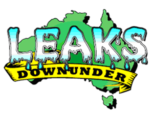 Leaks Downunder Plumbing & Pool Leak Detection