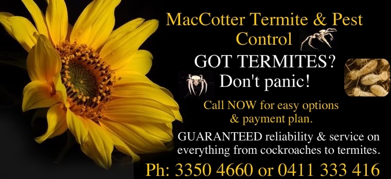 MacCotter Termite & Pest Control