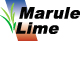 Marule Lime