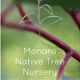 Monaro Native Tree Nursery