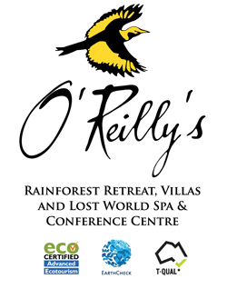 O'reilly's Rainforest Retreat