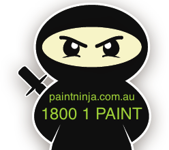 Paint Ninja