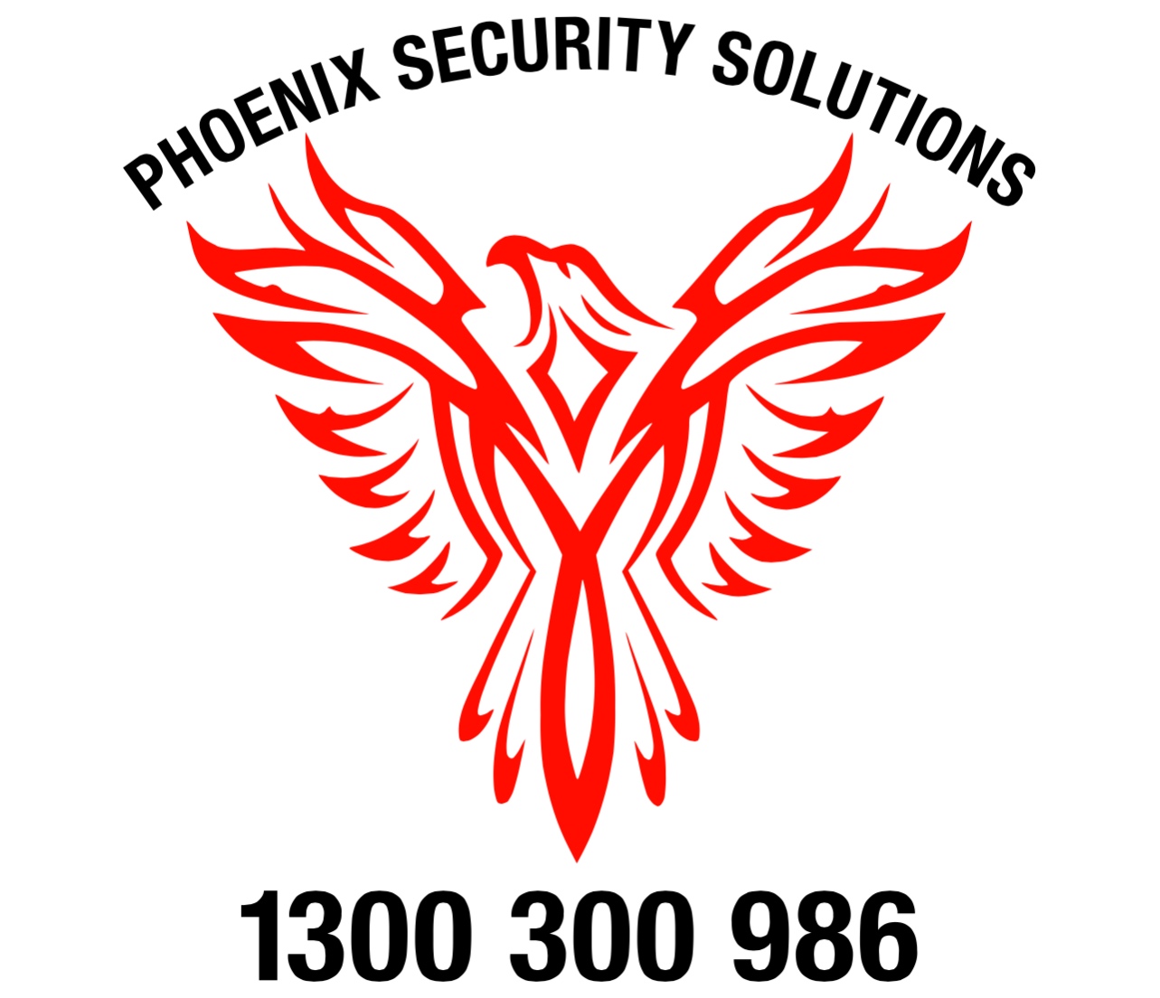 Phoenix Security Solutions