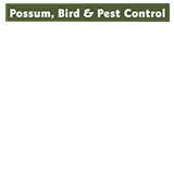 Possum, Bird & Pest Control