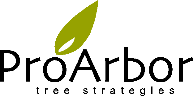 Proarbor Tree Strategies