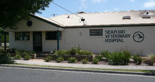 Seaford Vet Hospital