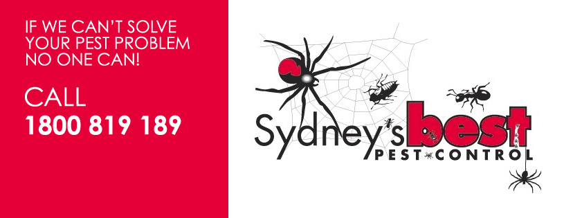 Sydneys Best Pest Control