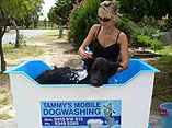 Tammy's Mobile Dog Washing