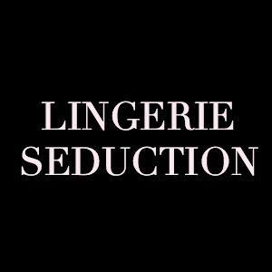 Lingerie Seduction
