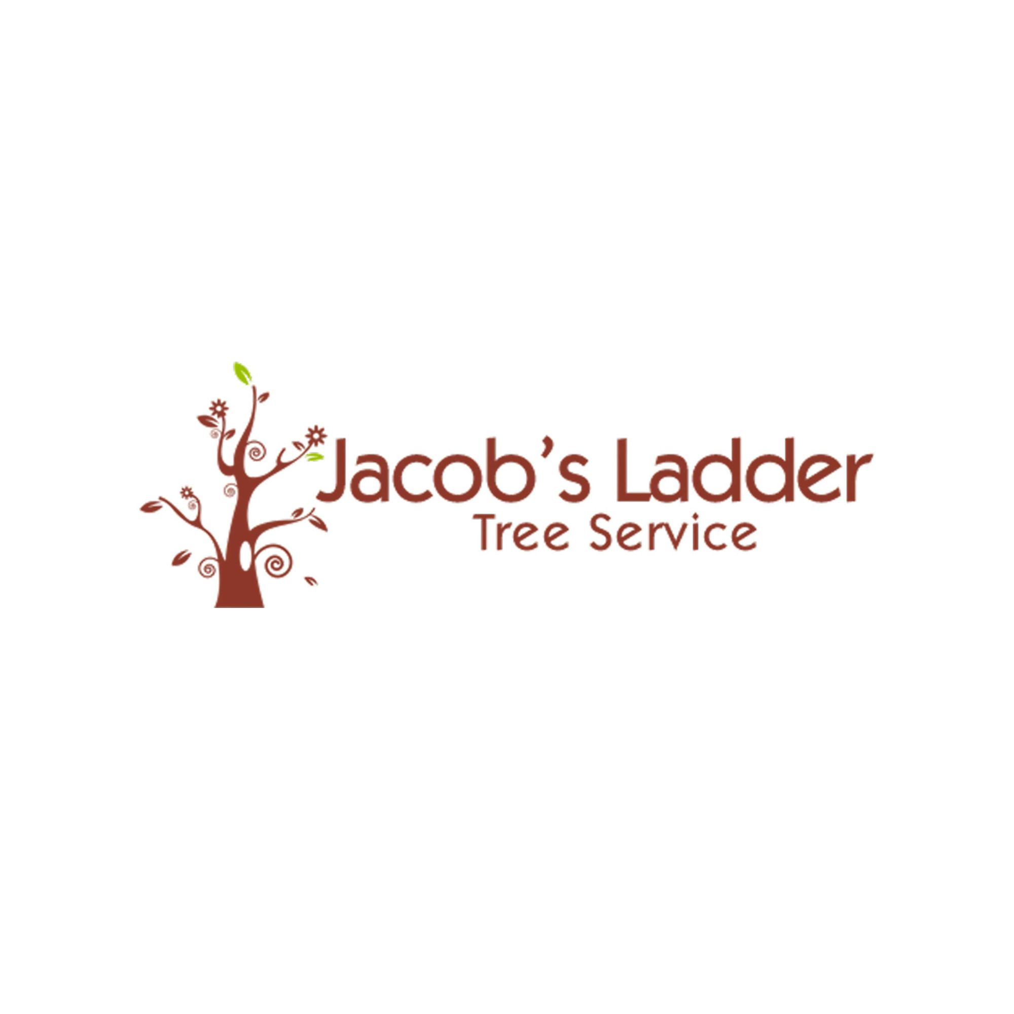 Jacob's Ladder Tree Service