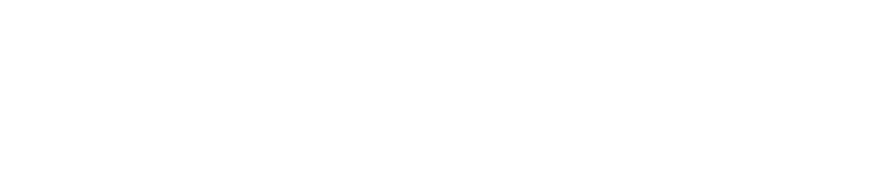 Synergy Australasia
