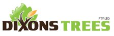 Dixons Trees