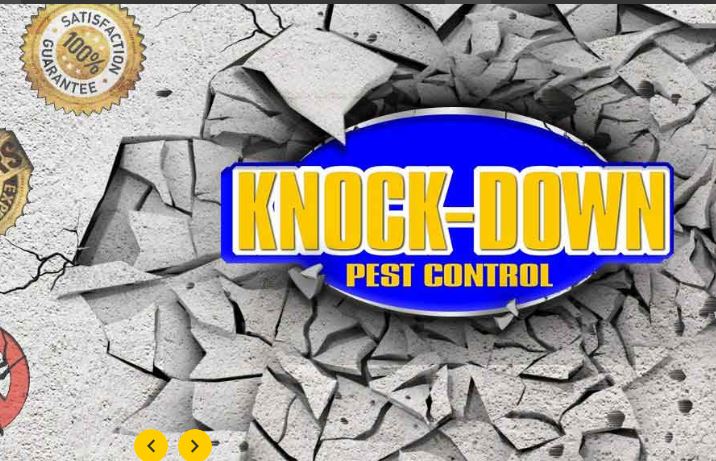 Knockdown Pest Control Sydney - Started from $120 with Warranty
