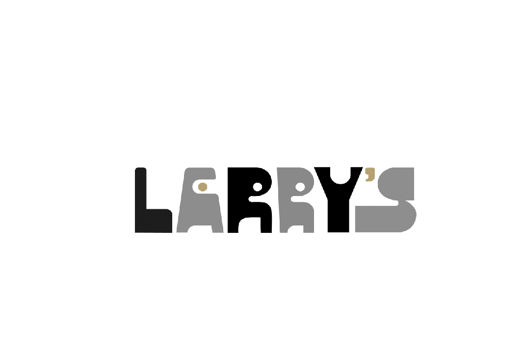 Larrys Camera Hire
