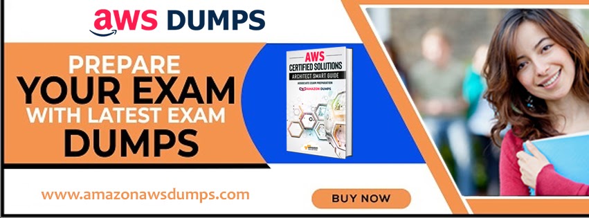 Professional CLF-C01 Exam Dumps - Amazon - Amazonawsdumps.com