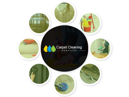 Carpet Cleaning Paradise