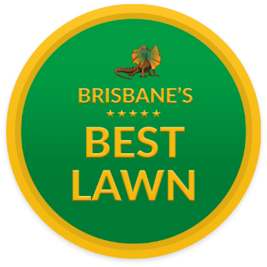 Brisbane's Best Lawn
