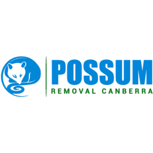 Possum Removal Canberra