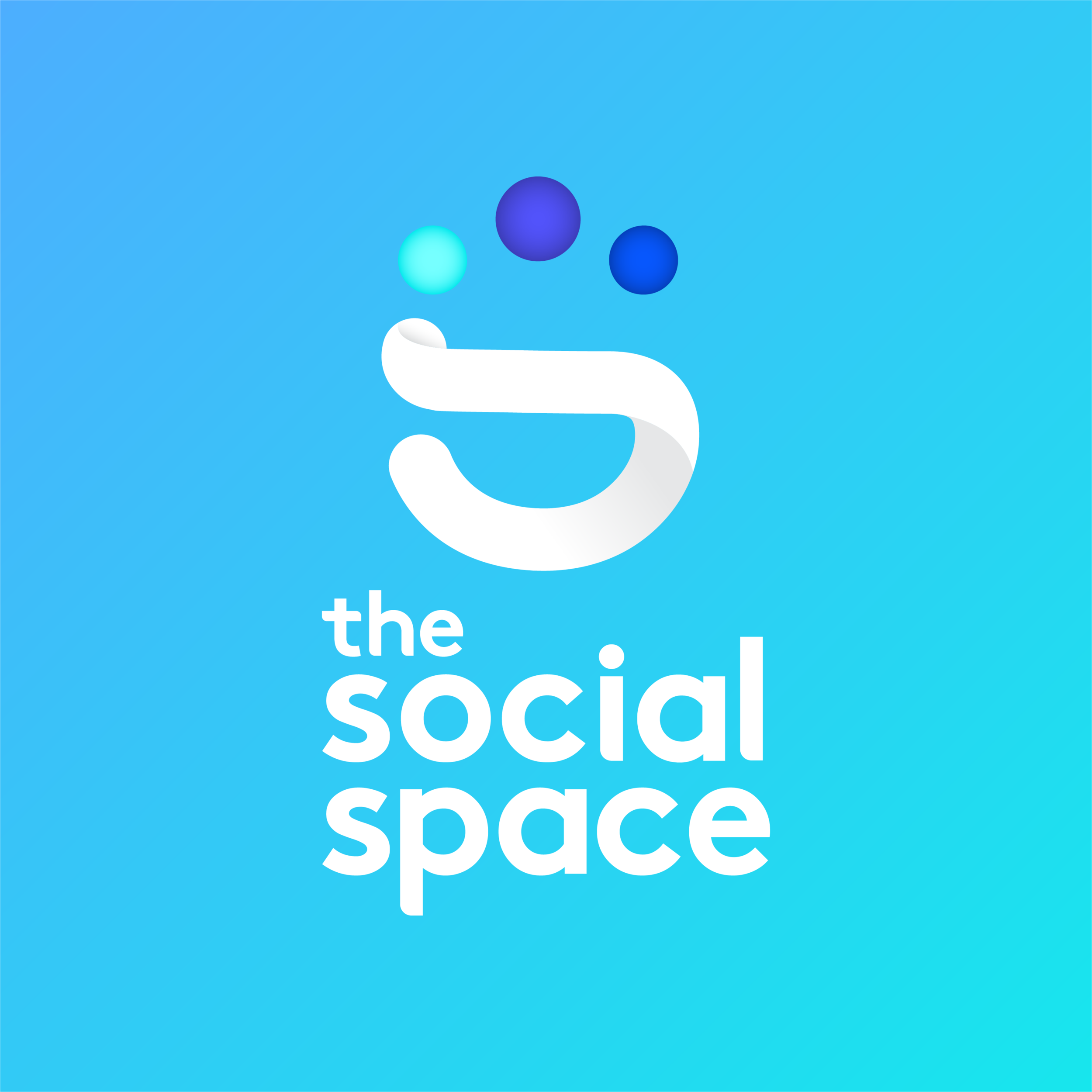 The Social Space