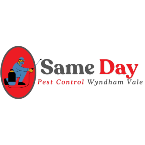 Same Day Pest Control Wyndham Vale