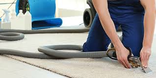 Carpet Cleaning Bonner