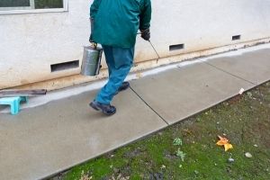 Pest Control Wanniassa
