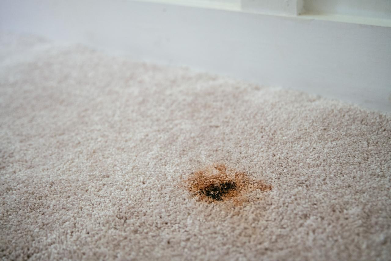 CBD Carpet Repair