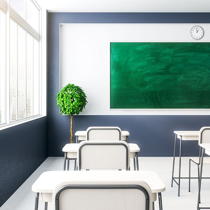 Commercial Green Cleaning Services in Sydney
