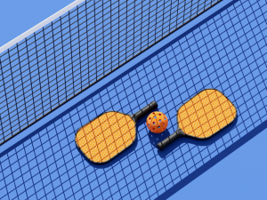 Oxley Nets Pty Ltd