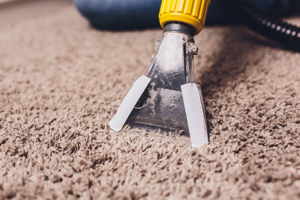 Smart Carpet Cleaning Brisbane Carpet Cleaning Service in South