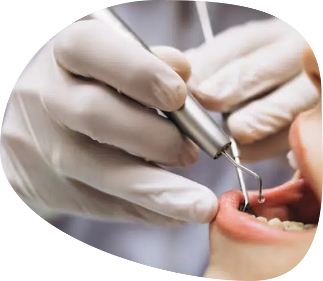 Geelong Dentist