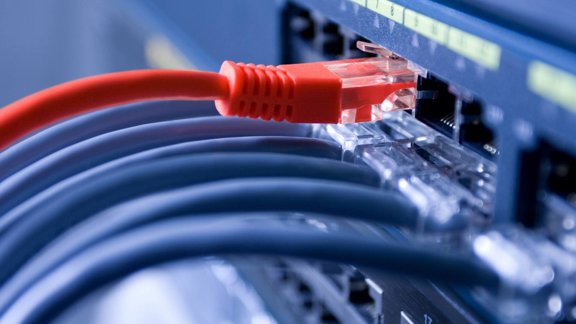 Express Voice & Data