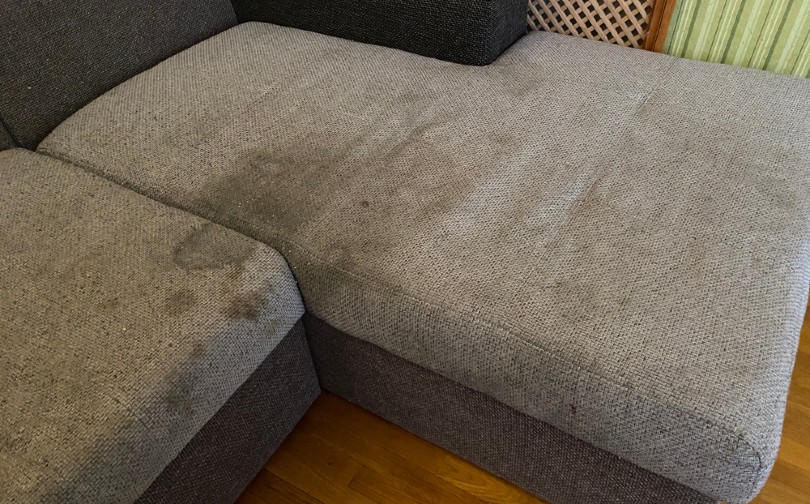 How To Get Rid Of Pet Urine Stains From The Couch?