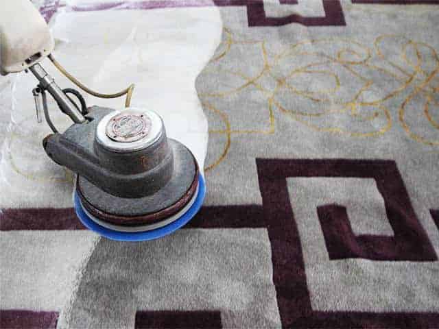 Forestalling Rug Stains: A Convenient Aide For You