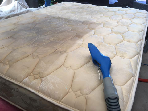 What To Consider While Settling On The Best Mattress Cleaning Services For You?