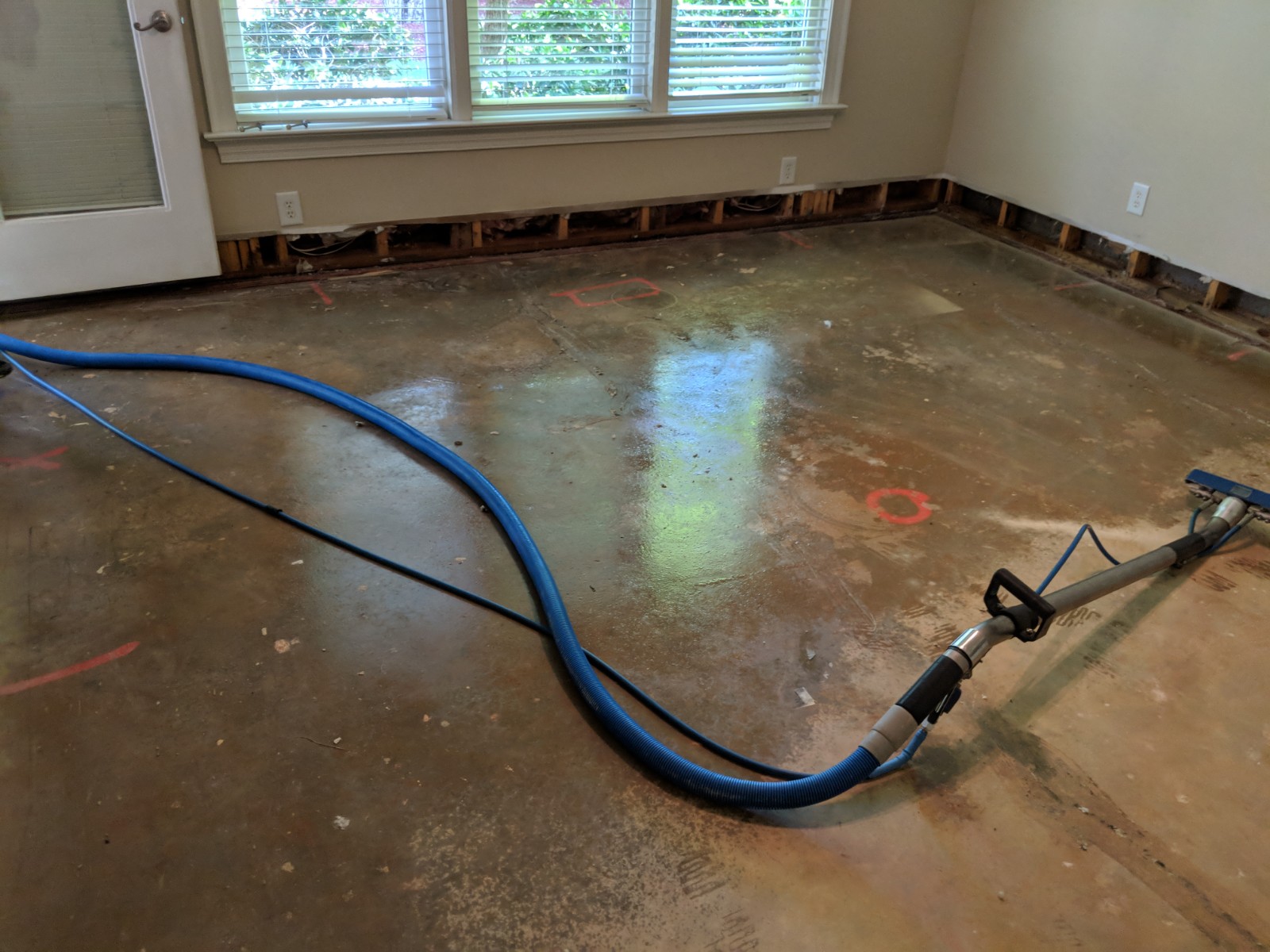 How To Fix Water Damage In The Kitchen Carpets?