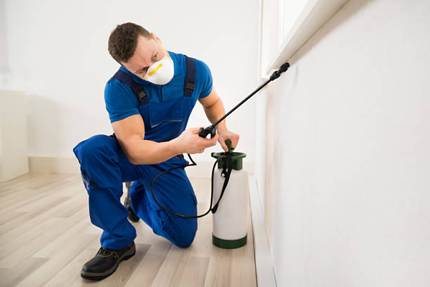 A Complete Guide On Pest Control Services That You Should Know